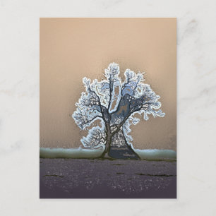 LONE TREE POSTCARD