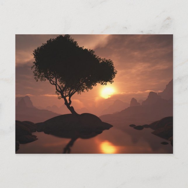 Lone Tree Postcard (Front)
