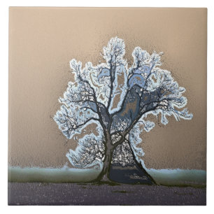 LONE TREE TILE