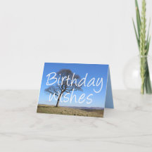 Lone tree, tree lovers and arborists