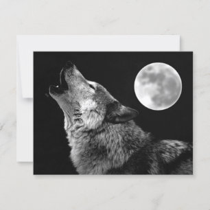 Lone Wolf Howling at Moon Card