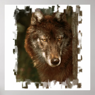 Lone Wolf Poster