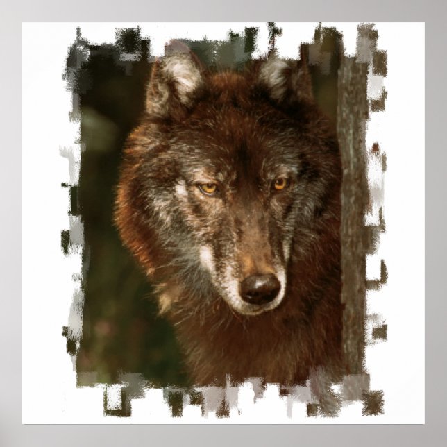 Lone Wolf Poster (Front)