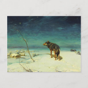 Lone Wolf Samotny Wilk Postcard