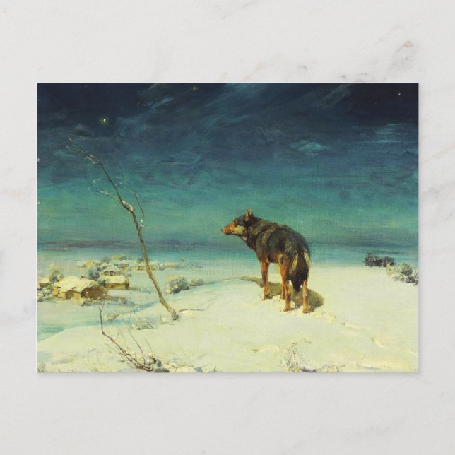 Lone Wolf Samotny Wilk Postcard (Front)