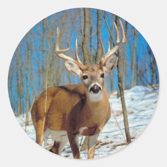 Loneley Reindeer Classic Round Sticker (Front)