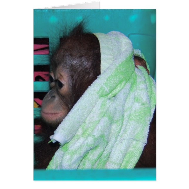 Lonely Baby Orangutan (Front)