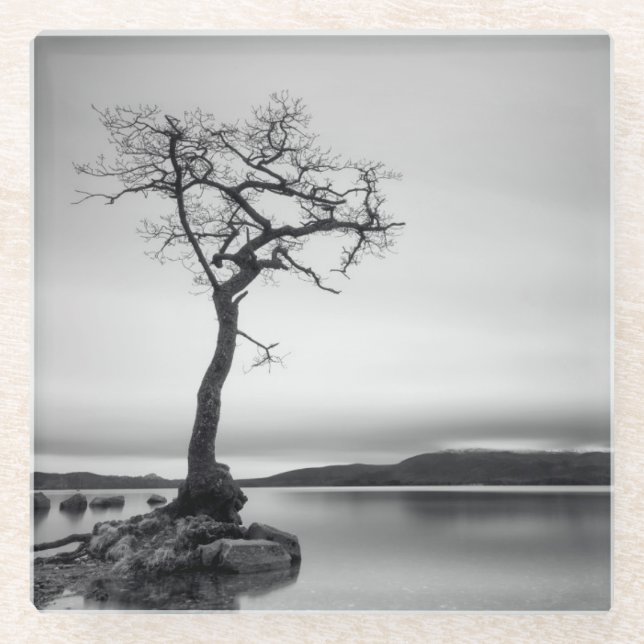 Lonely Bare Tree Glass Coaster (Front)