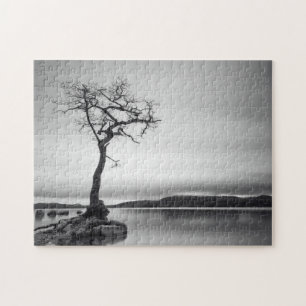 Lonely Bare Tree Jigsaw Puzzle