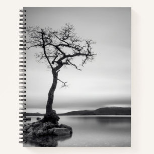 Lonely Bare Tree Notebook