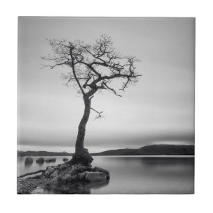 Lonely Bare Tree Tile