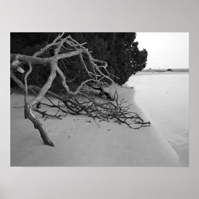 Lonely Beach Poster (Front)