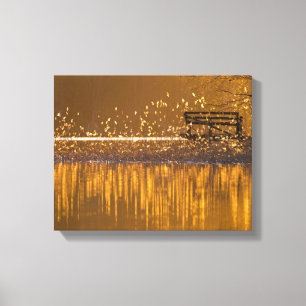 Lonely bench by the lake in the golden light canvas print