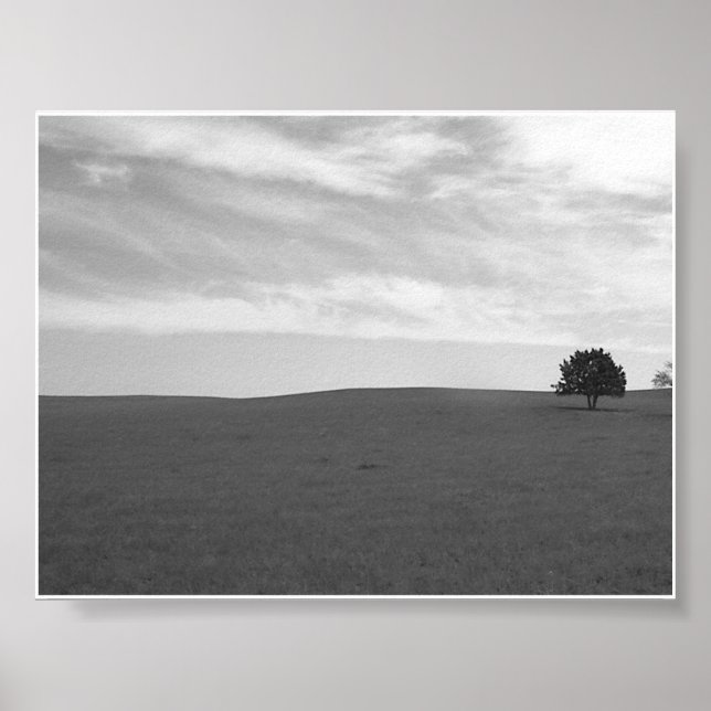 Lonely Black and White Prarie Scene Poster (Front)