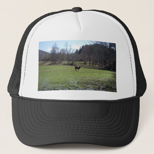 Lonely Cow Trucker Hat (Front)