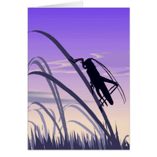 Lonely Cricket Card