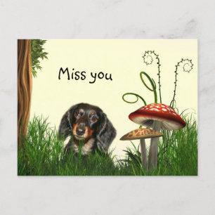 Lonely Dachshund Postcard