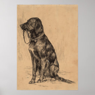 Lonely Dog holding his own leash, Vintage Pen Ink Poster