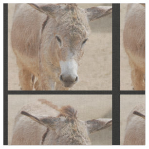 Lonely Donkey Fabric