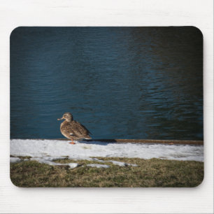 Lonely Duck Mouse Mat