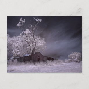Lonely Farmhouse Postcard