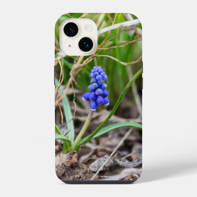Lonely Grape Hyacinth iPhone Case (Back)