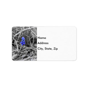 Lonely Grape Hyacinth Select Colour Label