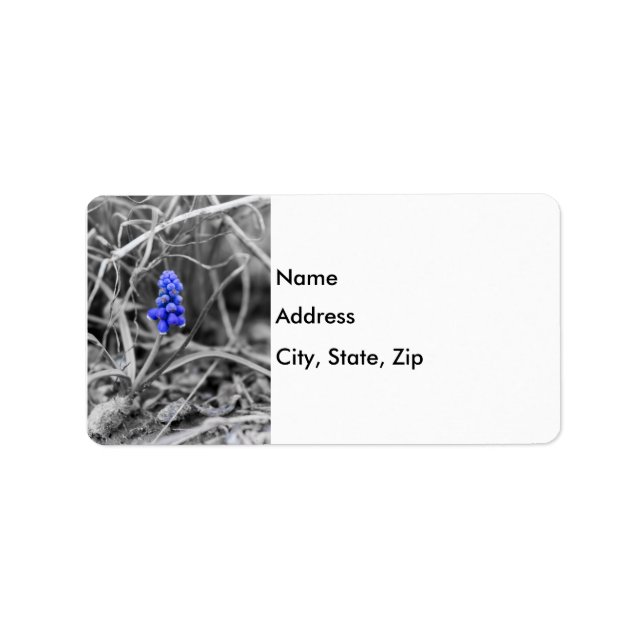 Lonely Grape Hyacinth Select Colour Label (Front)