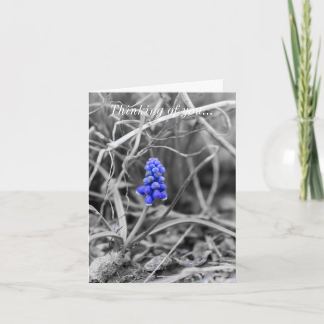 Lonely Grape Hyacinth Select Colour Thinking Of Yo Card (Front)
