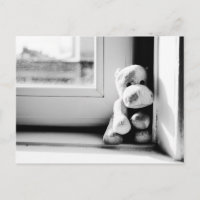 Lonely Hippo Vintage Postcard