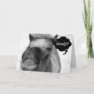 "LONELY HOG" MAKES CHRISTMAS JOKE WITHOUT "YOU" HOLIDAY CARD
