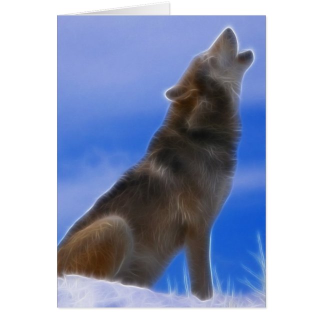 Lonely Howling Endangered Grey Wolf (Front)