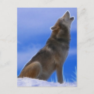 Lonely Howling Endangered Grey Wolf Postcard