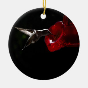 Lonely Hummingbird Ceramic Tree Decoration