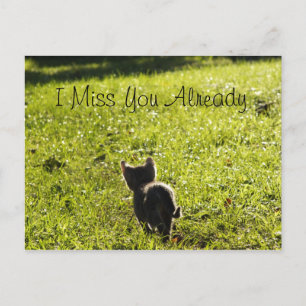 Lonely Kitten "Missing You" Postcard *Customisable