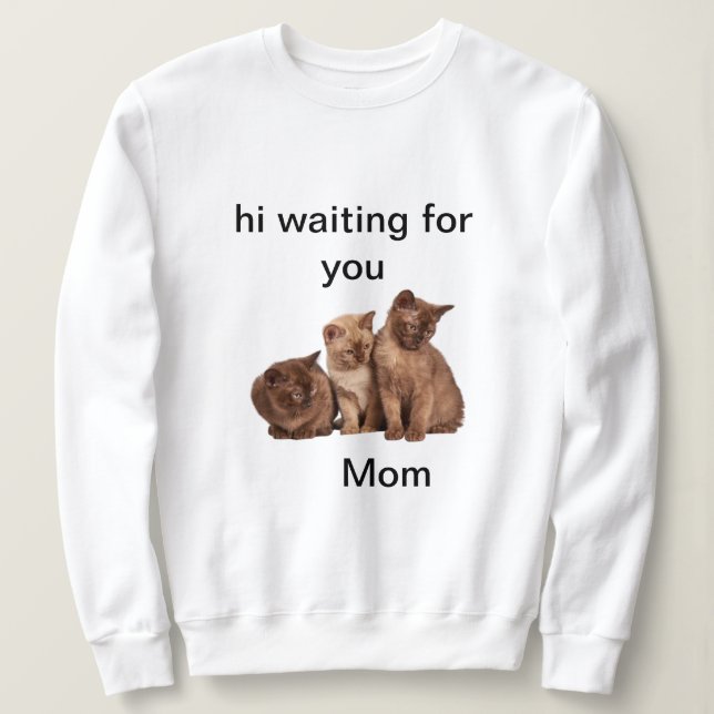  lonely kittens waiting for mum sweatshirt (Design Front)