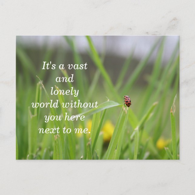 [Lonely Ladybug] Missing You Postcard (Front)