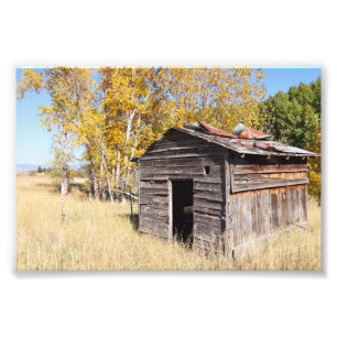 Lonely Little Shed Photo Print