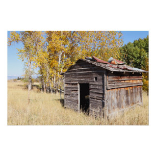 Lonely Little Shed Poster