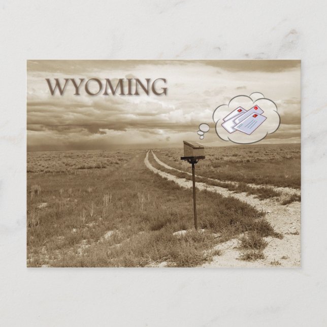Lonely mailbox in Wyoming Postcard (Front)