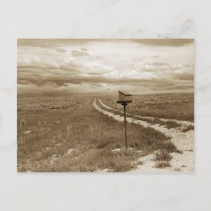 Lonely mailbox in Wyoming Postcard