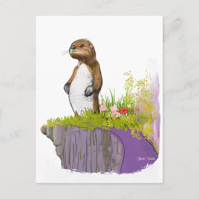 Lonely Otter Postcard (Front)