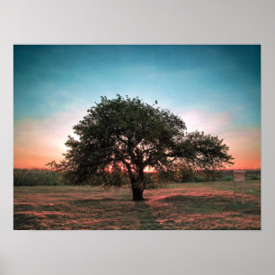 Lonely pear tree poster