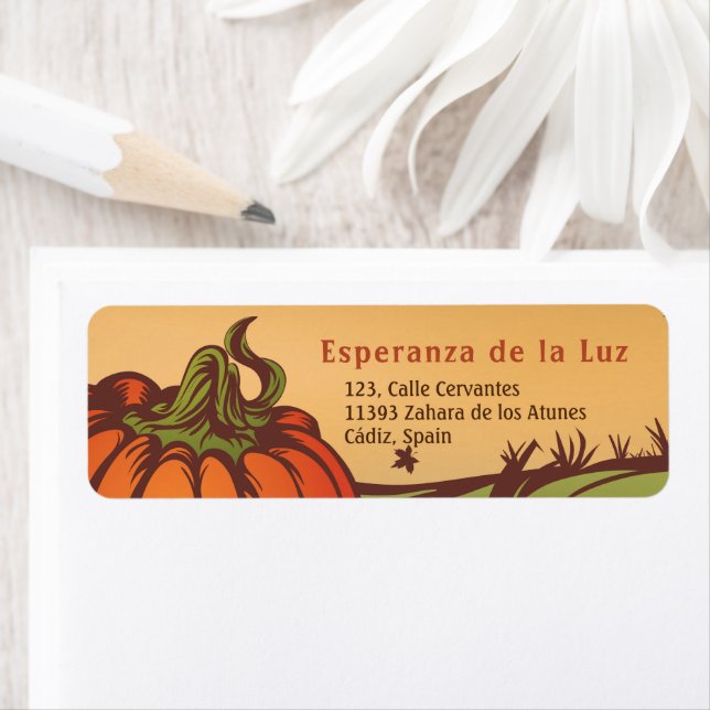 Lonely pumpkin one the field. Autumn leaves fall. (Insitu)