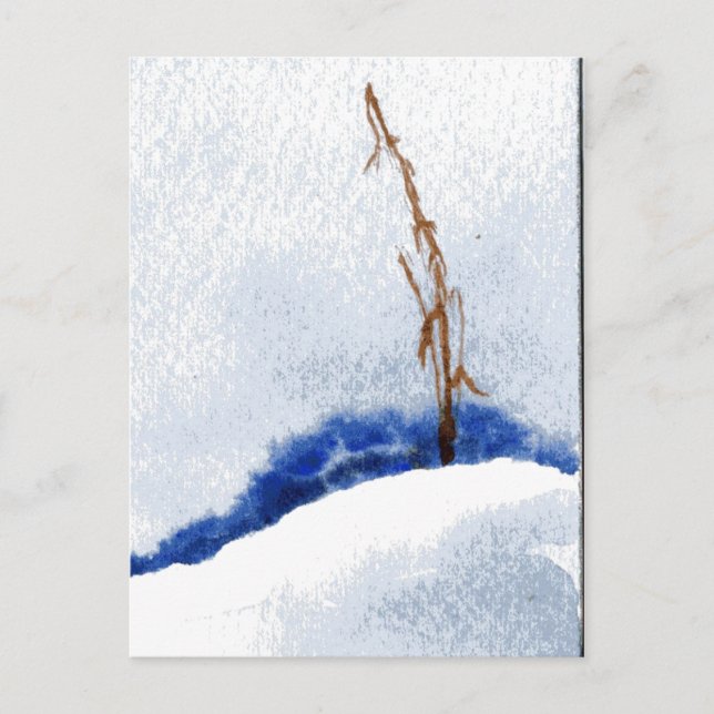 "Lonely Reed" Country Roads Postcard (Front)