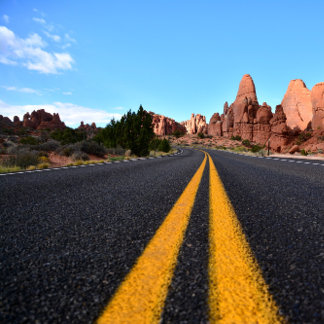 Lonely Road in Arches National Park Canvas Print
