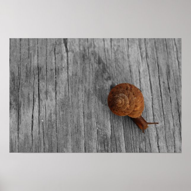 Lonely Snail Print (Front)