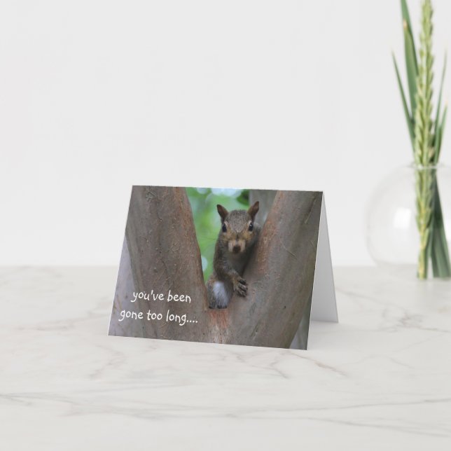 Lonely squirrel in tree, I miss you Card (Front)
