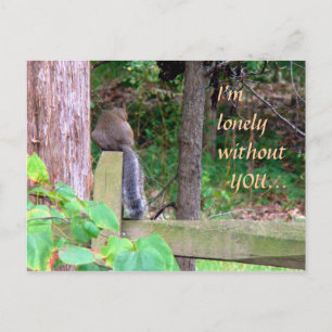 Lonely Squirrel Postcard