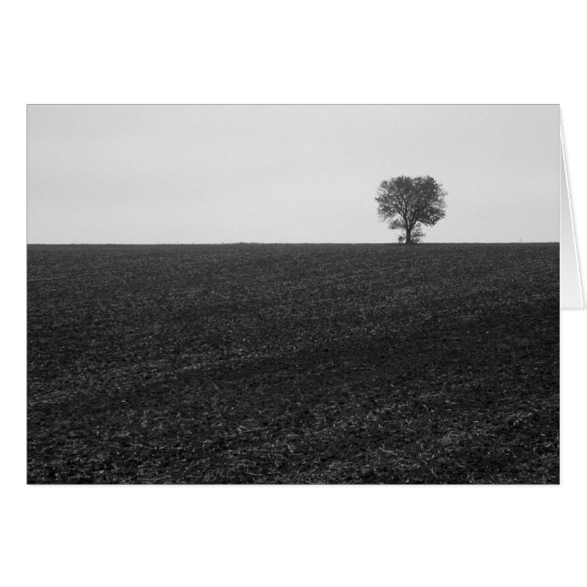 Lonely Tree (Front Horizontal)